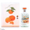 Filliers - Dry Gin 28 Tangerine & Glass Set Thumbnail