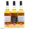 Ben Nevis - 2 x 23 YO & 1 x 24 YO Whisky Sponge Triptych  Thumbnail