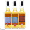 Ardnamurchan - Whisky Sponge Triptych No.48 Thumbnail