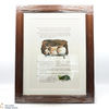 Macallan - The Remarkable History of The Macallan Glenlivet - Sara Midda Prints (Framed in Oak) Thumbnail