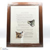 Macallan - The Remarkable History of The Macallan Glenlivet - Sara Midda Prints (Framed in Oak) Thumbnail