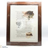 Macallan - The Remarkable History of The Macallan Glenlivet - Sara Midda Prints (Framed in Oak) Thumbnail