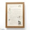 Macallan - The Remarkable History of The Macallan Glenlivet - Sara Midda Print (Framed) Thumbnail